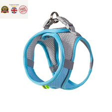 Puppy Harness Set Dog