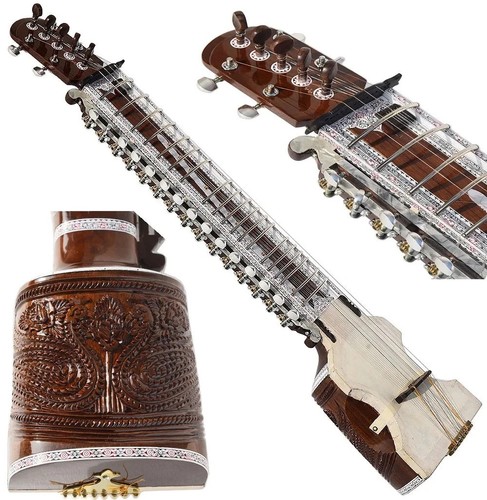 Professional dilruba musical - dilruba,