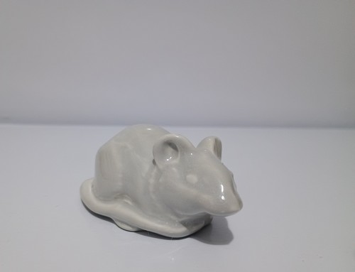 Grey mouse glossy - mouse, finish