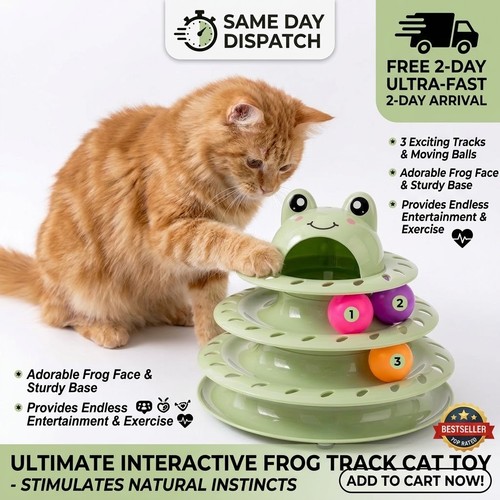 Frog cat track - cat,