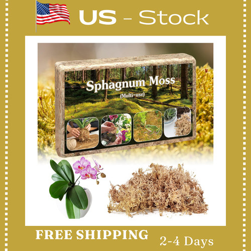 Sphagnum moss - moss,sphagnum,