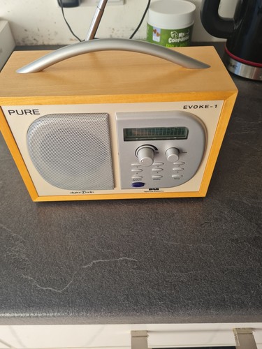 Pure evoke dab - dab, radio