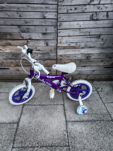 Pedal pals blossom girls - pedal,