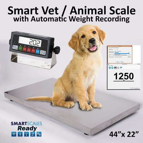 Digital livestock scale - digital,