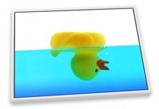 Rubber Duck Upside Down Bathroom Blue CANVAS FLOATER FRAME Wall Art Print