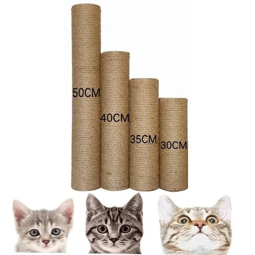 Cat scratching post - scratching,