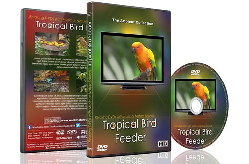 Bird feeder dvd for - bird,