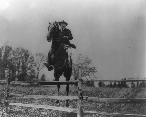Theodore roosevelt 1902 - theodore, roosevelt,