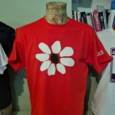 James the band Tim Booth Daisy