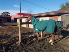 Blue Wool Lined Canvas Combo