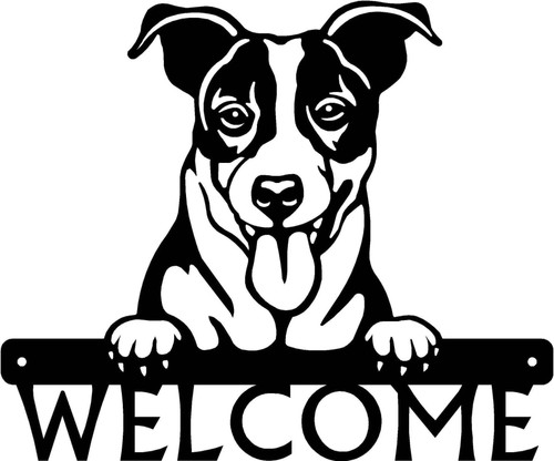 Jack russell terrier - jack,