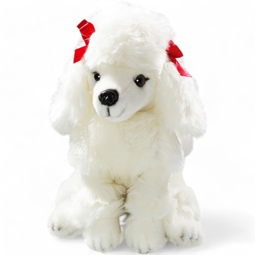 Carl dick poodle dog sitting - poodle,