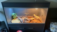 3ft Modern Reptile Vivarium Tank with Cupboard Cabinet and Lights for Reptiles
