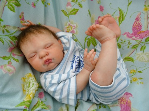 Reborn baby boy - chubby, sean