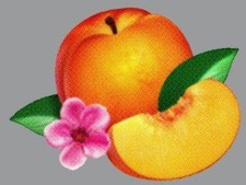 Bankrupt! (Deluxe) - Phoenix