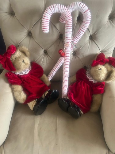 Teddy dolls - teddy,