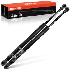 2X Gas Spring Tailgate Dampers