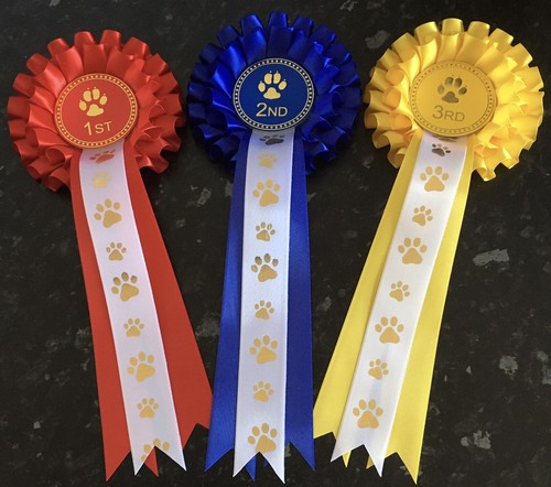 Tier 1st 3rd dog show - ,
