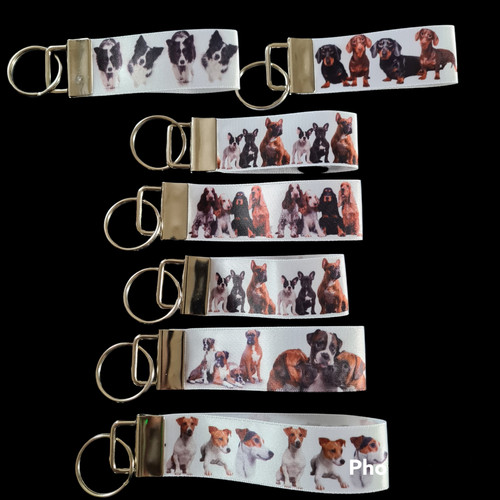 Dogs bulldog collie labrador - dogs,