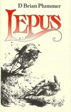 Lepus The Story of a Hare by