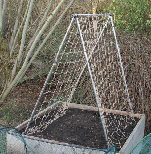 Mini pea and - mini, frame