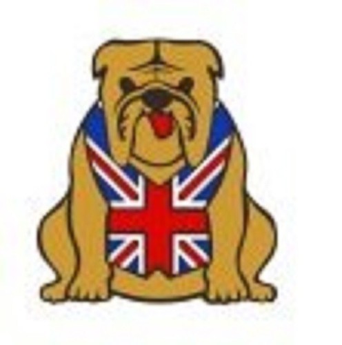 British bulldog pin - british,