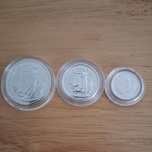 Silver britannia 2025 - silver, 1x-