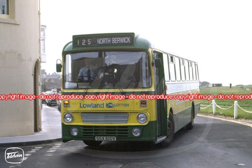 Bus photo lowland - bus,