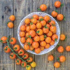 Cherry Tomato Seeds - Huge