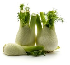 Vegetable - Fennel - Sweet Florence - 600 Seeds