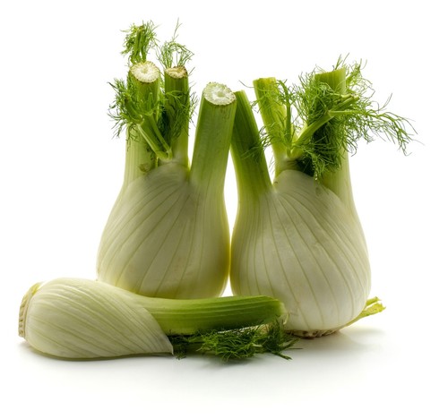 Fennel sweet florence seeds - fennel,