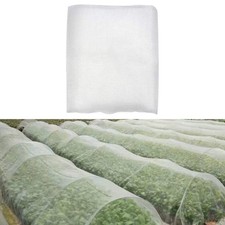 Tomato fruit trees strawberry