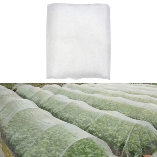 Tomato fruit trees strawberry