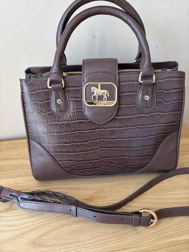 Paul costelloe dressage - paul,