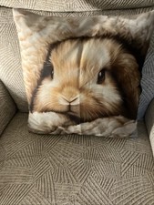 Bunnies Cushion BNWT 40cm X