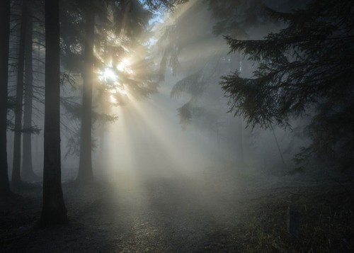 Sun ray premium poster - ray,