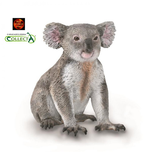 Koala bear australian - australian, wildlife