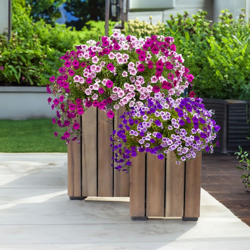 Acacia wooden planter boxes - acacia,