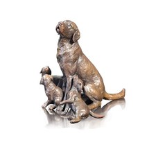 Bronze labrador dog with - bronze,