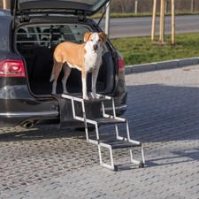 Trixie Folding Ramp Petwalk