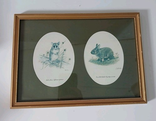 Vintage joel kirk - vintage, framed