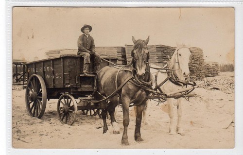 Horse drawn wagon - drawn, emerson