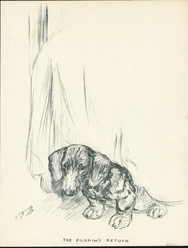 Dachshund vintage 1937 dog art - 1937,