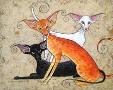 Oriental Cat art print limited