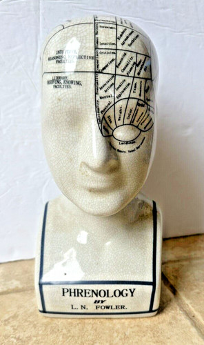 Phrenology head statue map - phrenology,