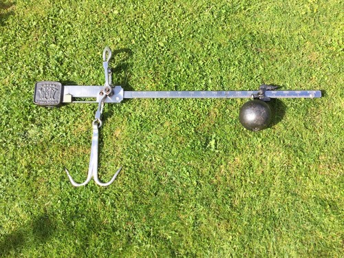 Steelyard 300lb weight - steelyard,