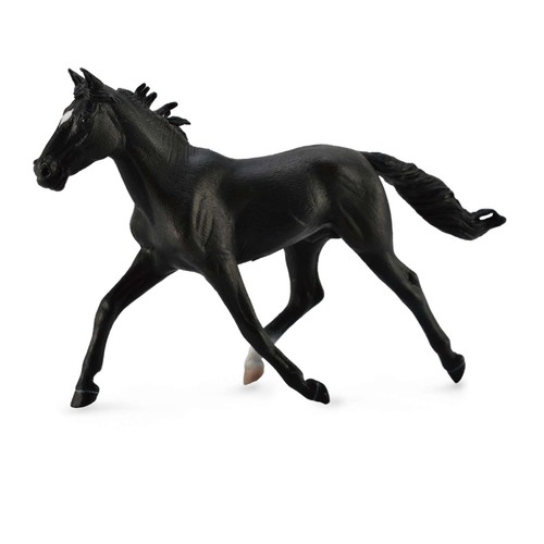 Collecta standardbred pacer - collecta,