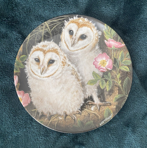 Wedgwood the baby owls - wedgwood,