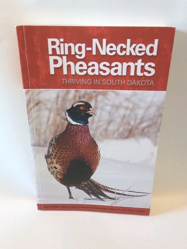Ring necked pheasants thriving - ring-necked,