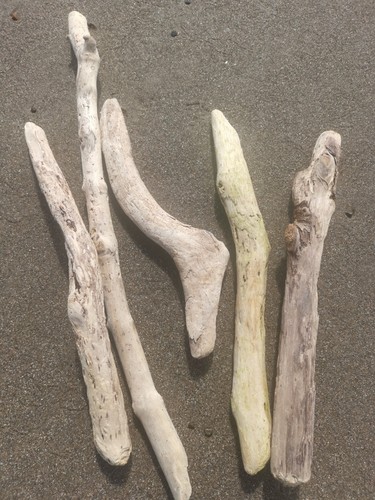 Driftwood sea wood art - driftwood,